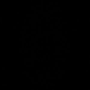 Meet your Posher, Chrissy